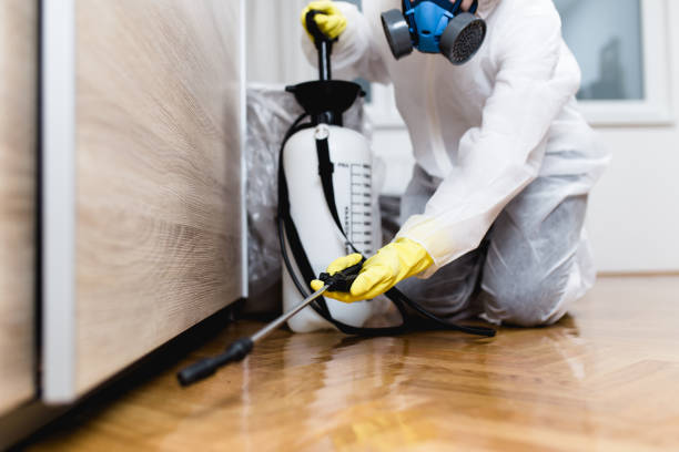 Best Residential Pest Control  in Eloy, AZ