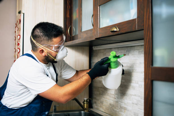 Wildlife Control Services in Eloy, AZ