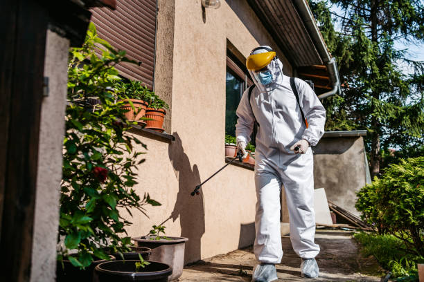 Best Best Pest Control Companies  in Eloy, AZ