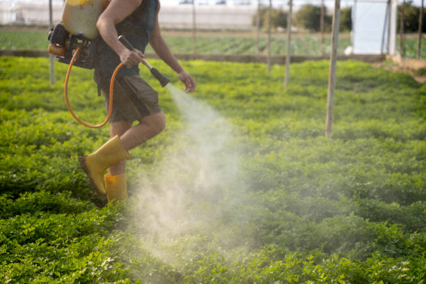 Pest Control for Restaurants in Eloy, AZ