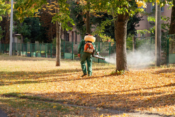 Pest Control Cost in Eloy, AZ