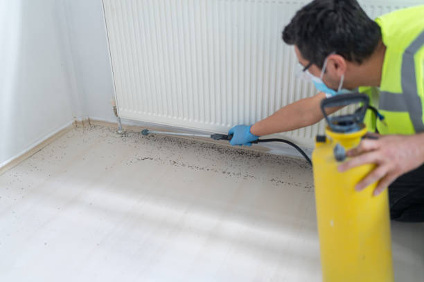 Best Pest Control Treatment  in Eloy, AZ